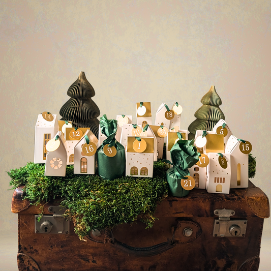 ADVENTSKALENDER 2026 ✦ Frozen Forest